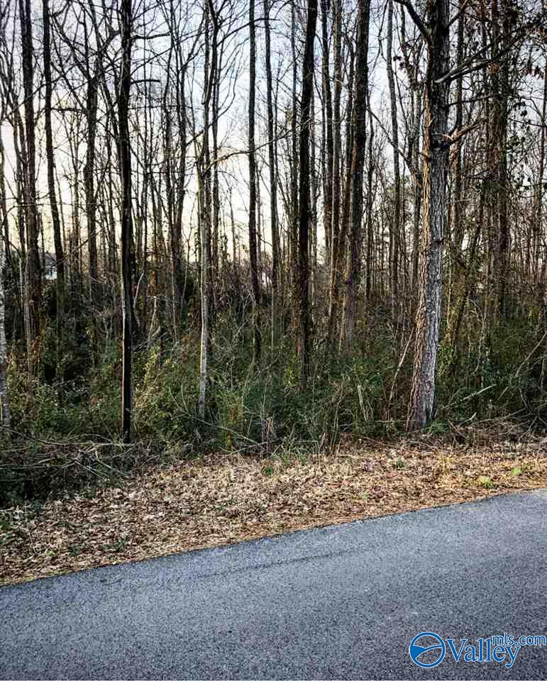 .75ac Wedgewood Circle, Arab, Alabama image 4