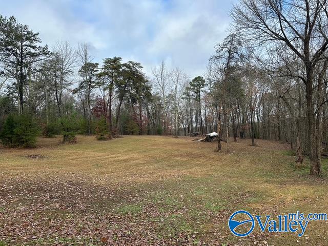 463 County Road 457, Trinity, Alabama image 6