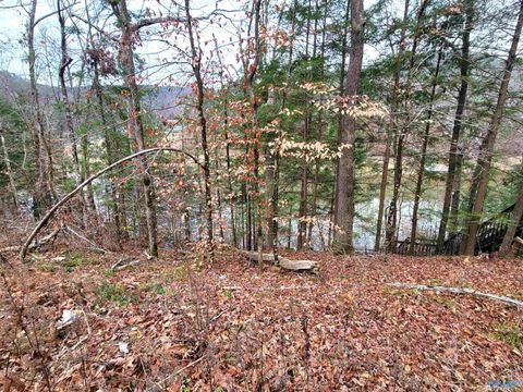 Vacant Land For Sale - 458 County Road 4036<br/> Arley, AL 35541