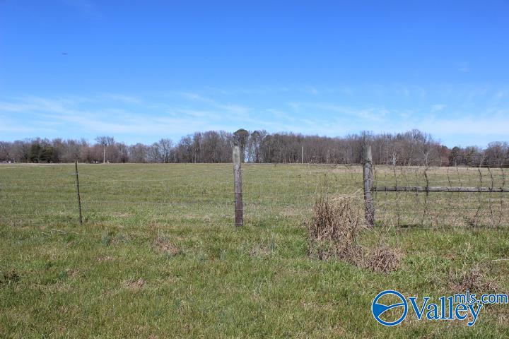 609 County Road 76, Fyffe, Alabama image 10