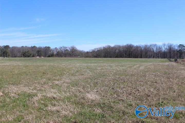 609 County Road 76, Fyffe, Alabama image 3