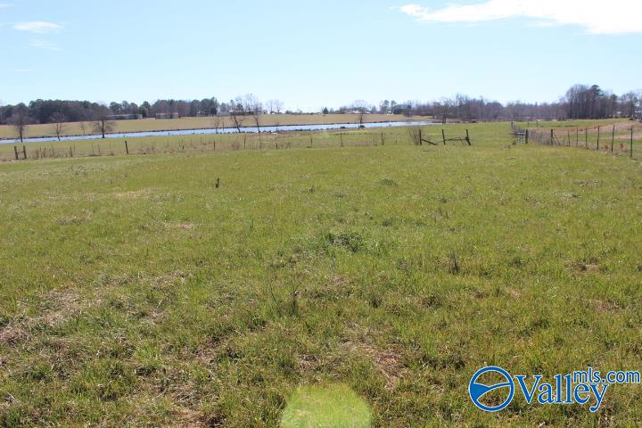 609 County Road 76, Fyffe, Alabama image 6