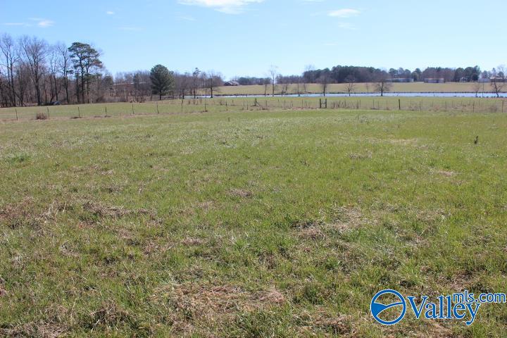 609 County Road 76, Fyffe, Alabama image 5