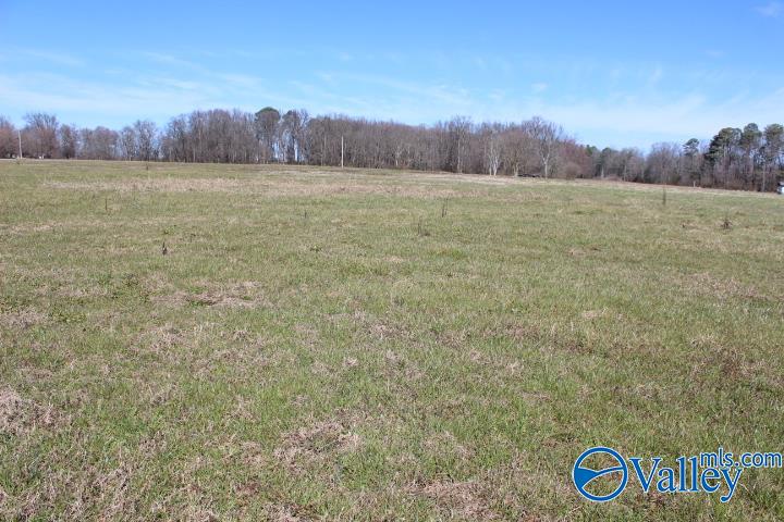 609 County Road 76, Fyffe, Alabama image 8