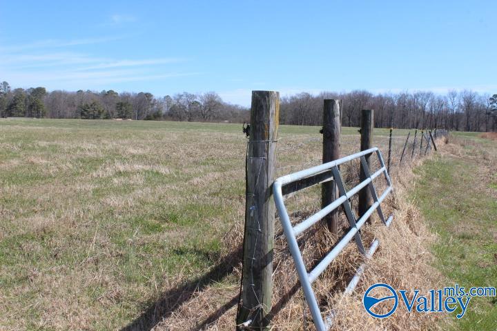 609 County Road 76, Fyffe, Alabama image 2