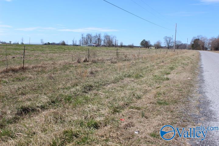 609 County Road 76, Fyffe, Alabama image 1