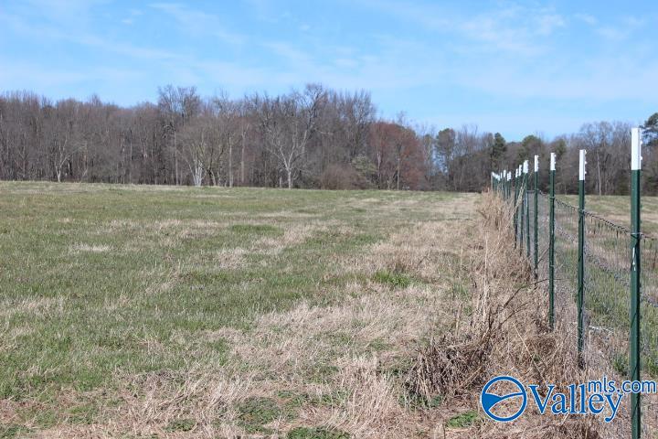 609 County Road 76, Fyffe, Alabama image 11