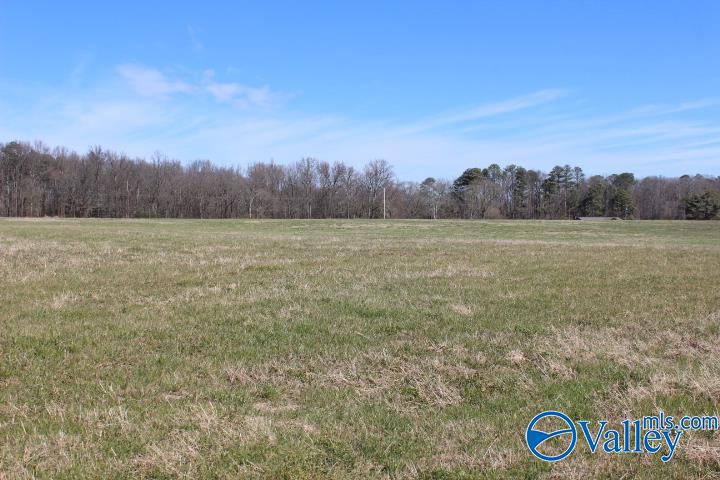 609 County Road 76, Fyffe, Alabama image 4