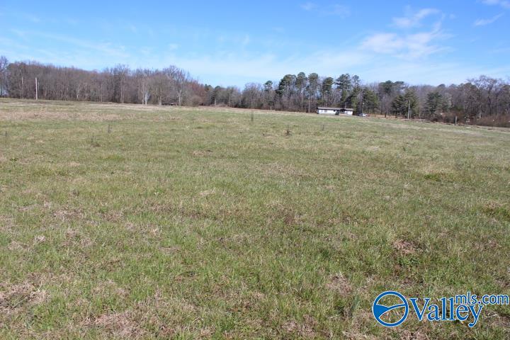 609 County Road 76, Fyffe, Alabama image 7