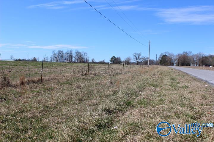 609 County Road 76, Fyffe, Alabama image 14