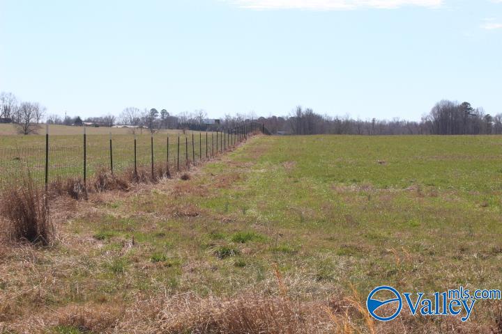 609 County Road 76, Fyffe, Alabama image 12