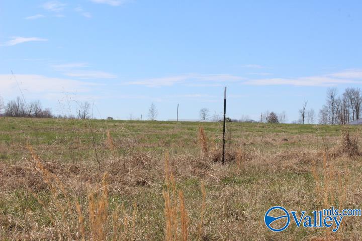 609 County Road 76, Fyffe, Alabama image 13