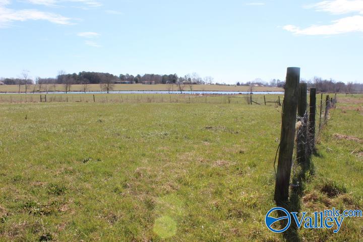 609 County Road 76, Fyffe, Alabama image 9