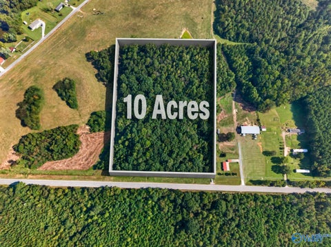 Vacant Land For Sale - 10 ACRES Alabama Highway 132<br/> Etowah County, Altoona, AL 35952