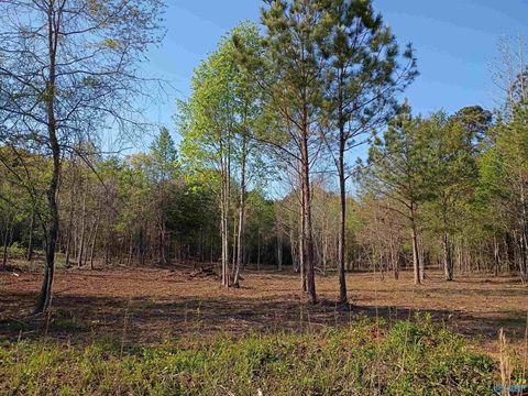 Vacant Land For Sale - TRACT 1 County Road 176<br/> Piedmont, AL 36272