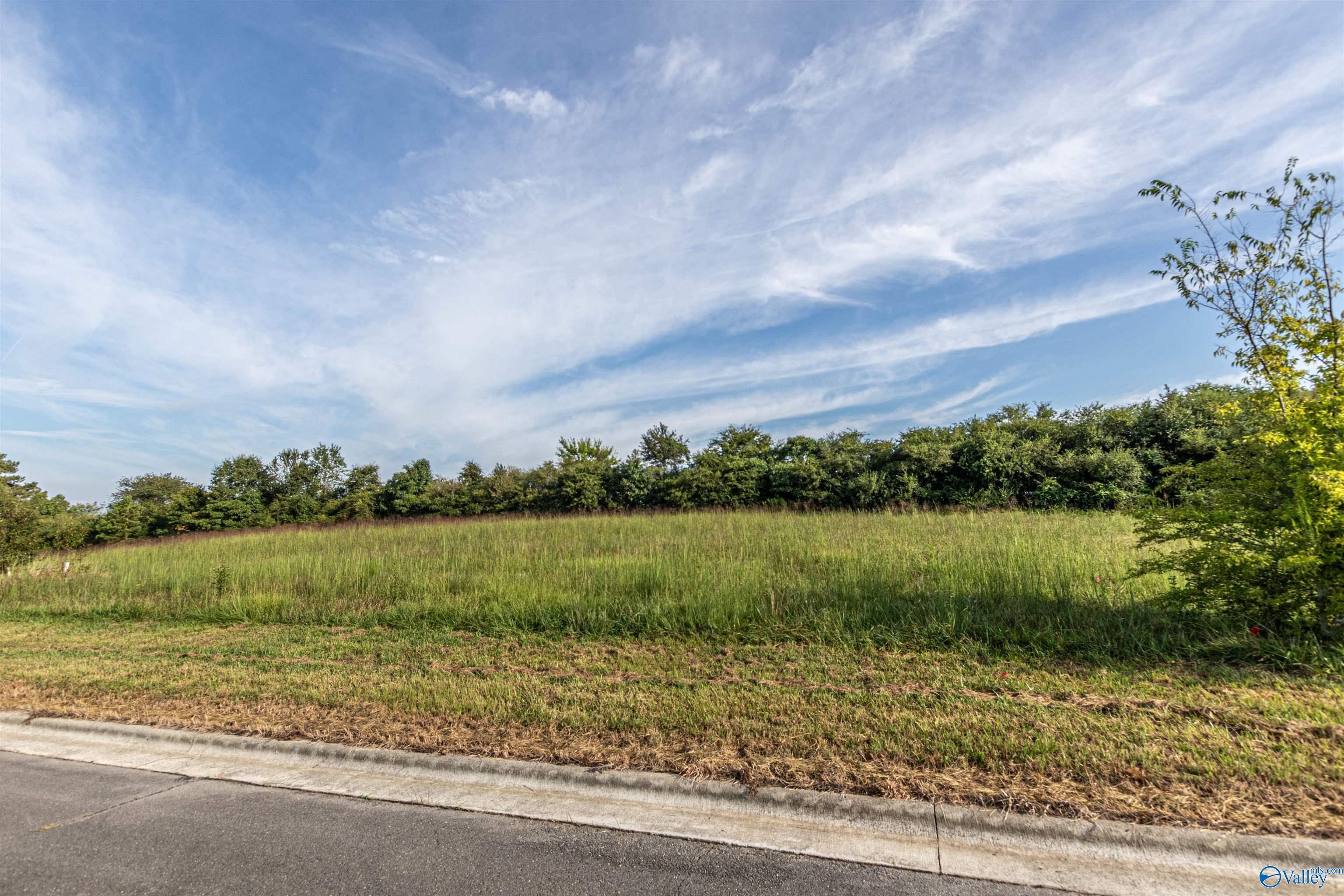 Lot 35 Krimson Circle, Albertville, Alabama image 8