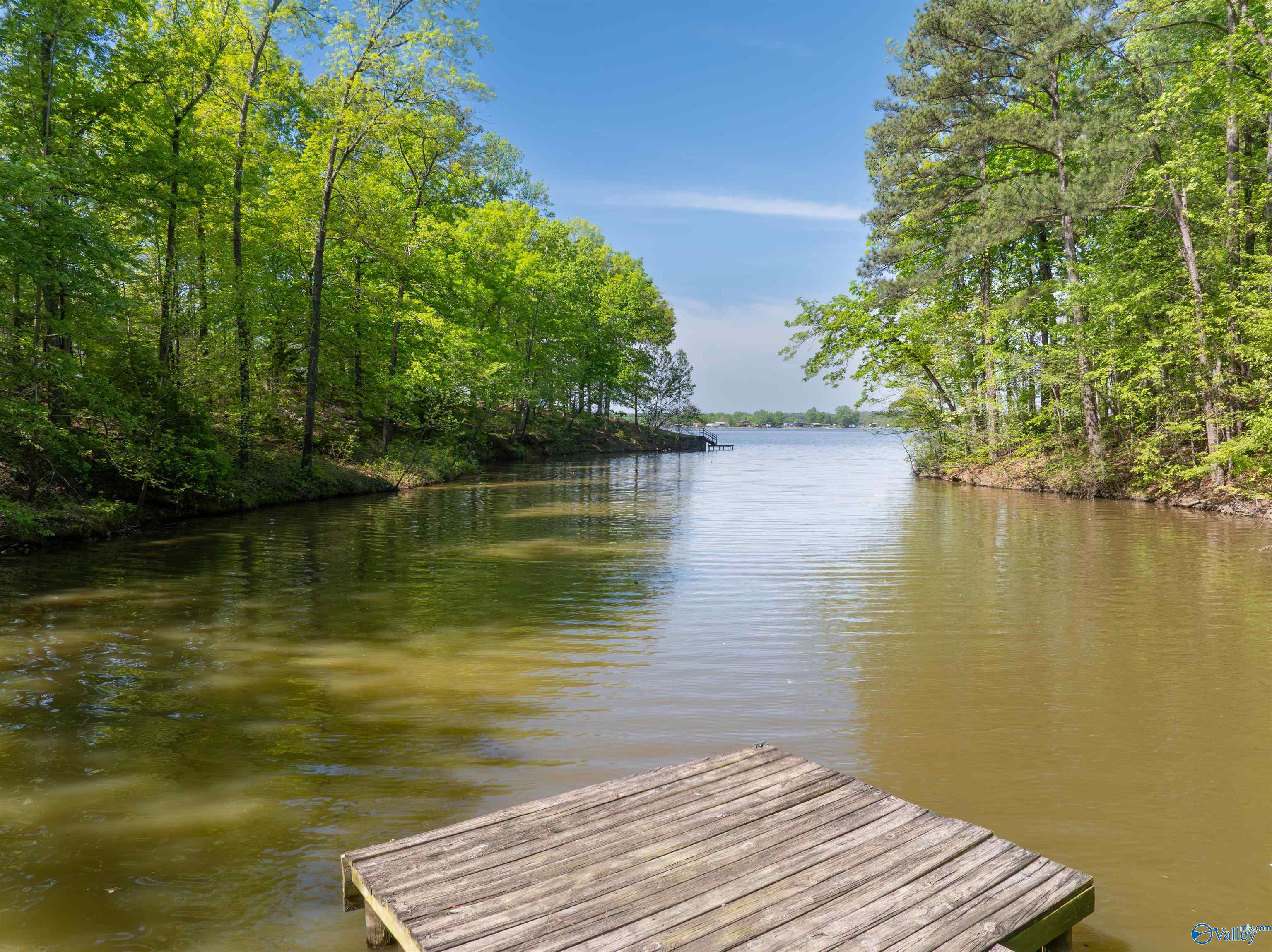 970 County Road 454, Centre, Alabama image 1