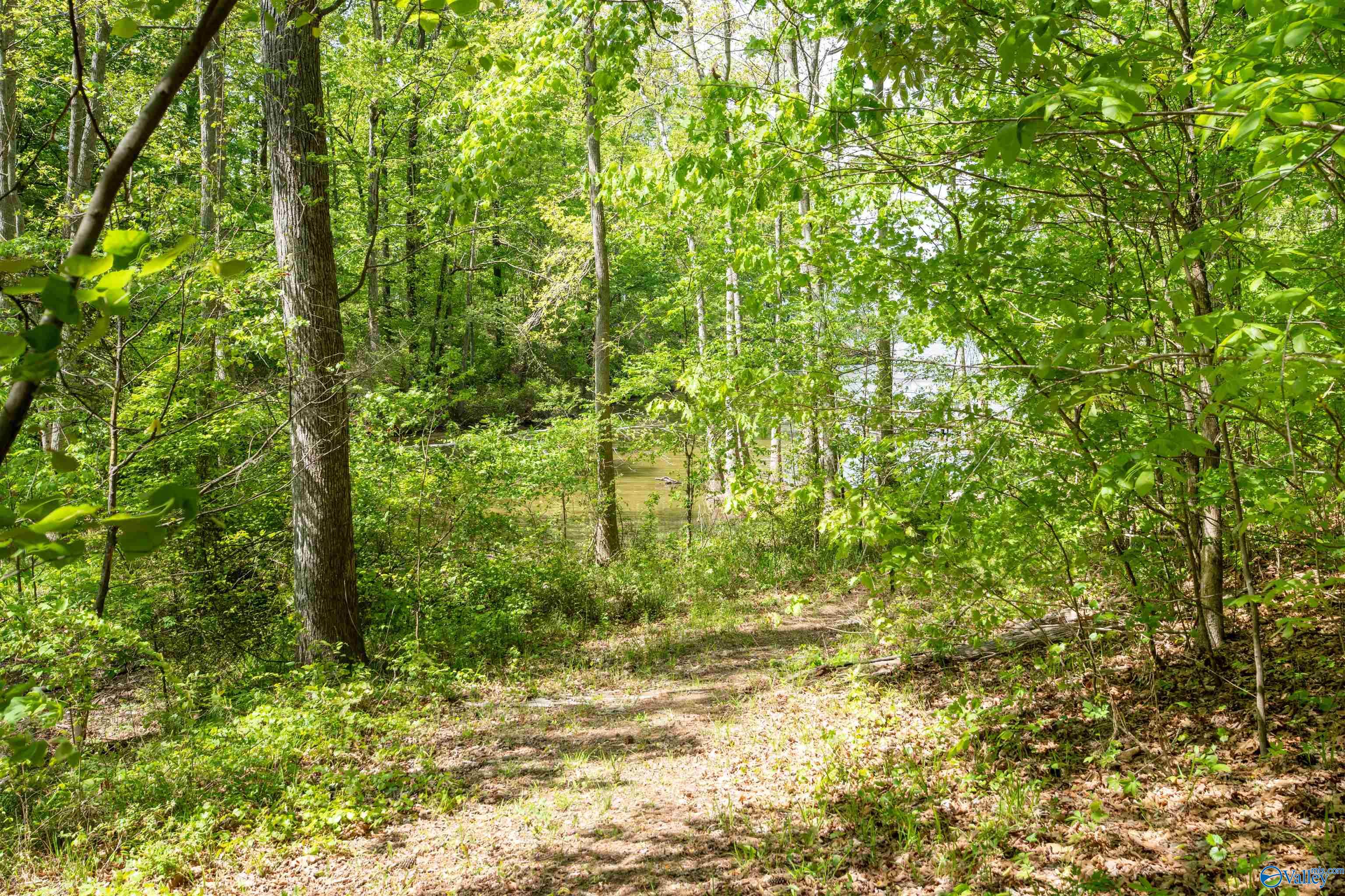 970 County Road 454, Centre, Alabama image 31