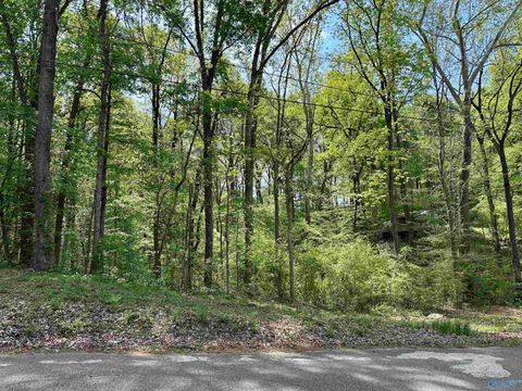 Vacant Land For Sale - 12466 Beech Fork Lane<br/> Athens, AL 35611