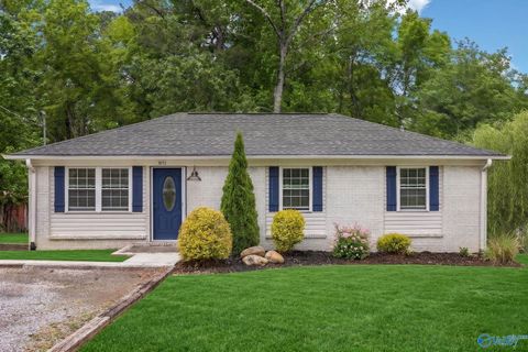 Photo of 1072 Hulaco Road, Arab, AL 35016 (MLS # 21916996)