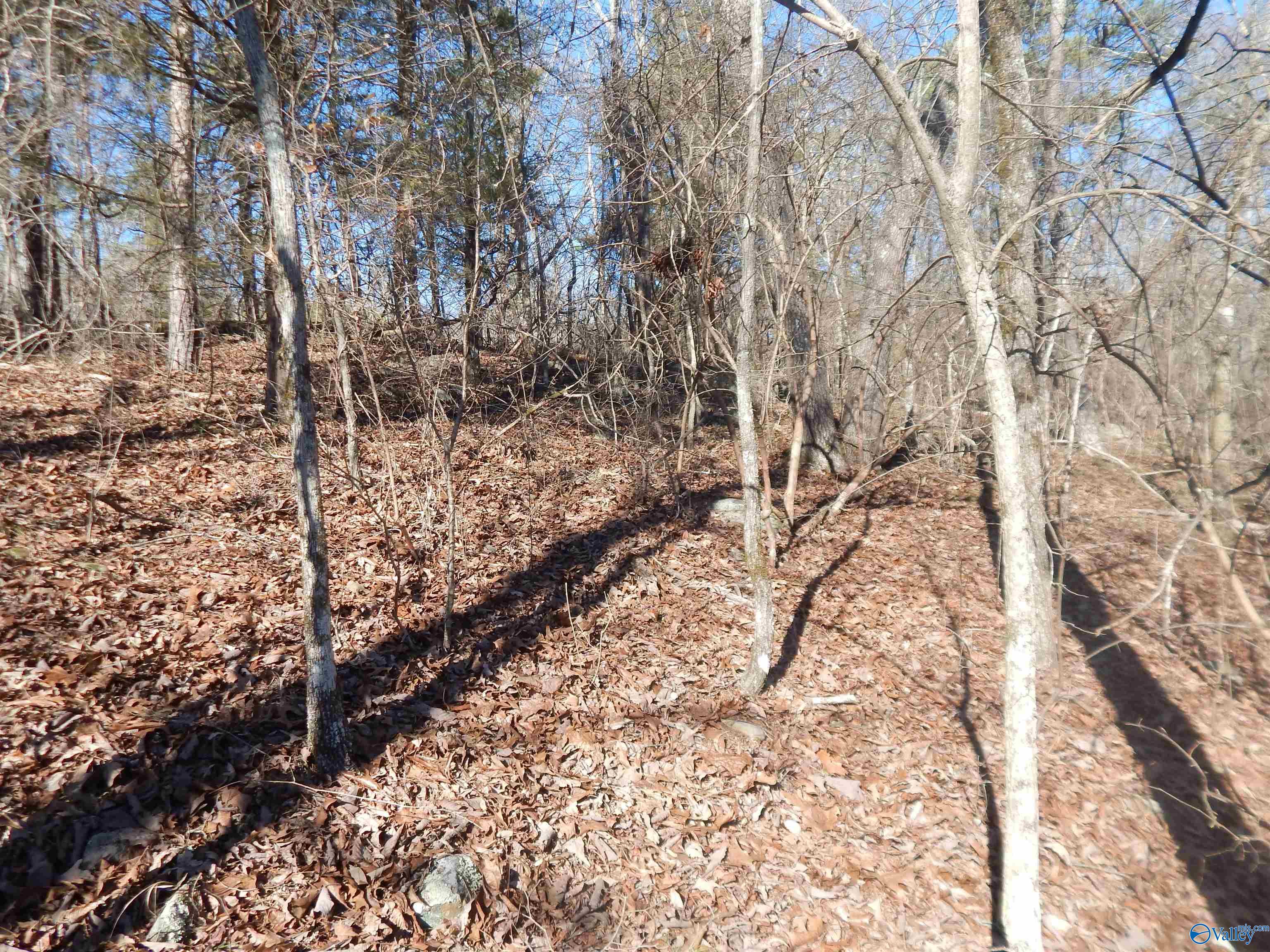 16.3 Acres Off U S Highway 278, Altoona, Alabama image 2