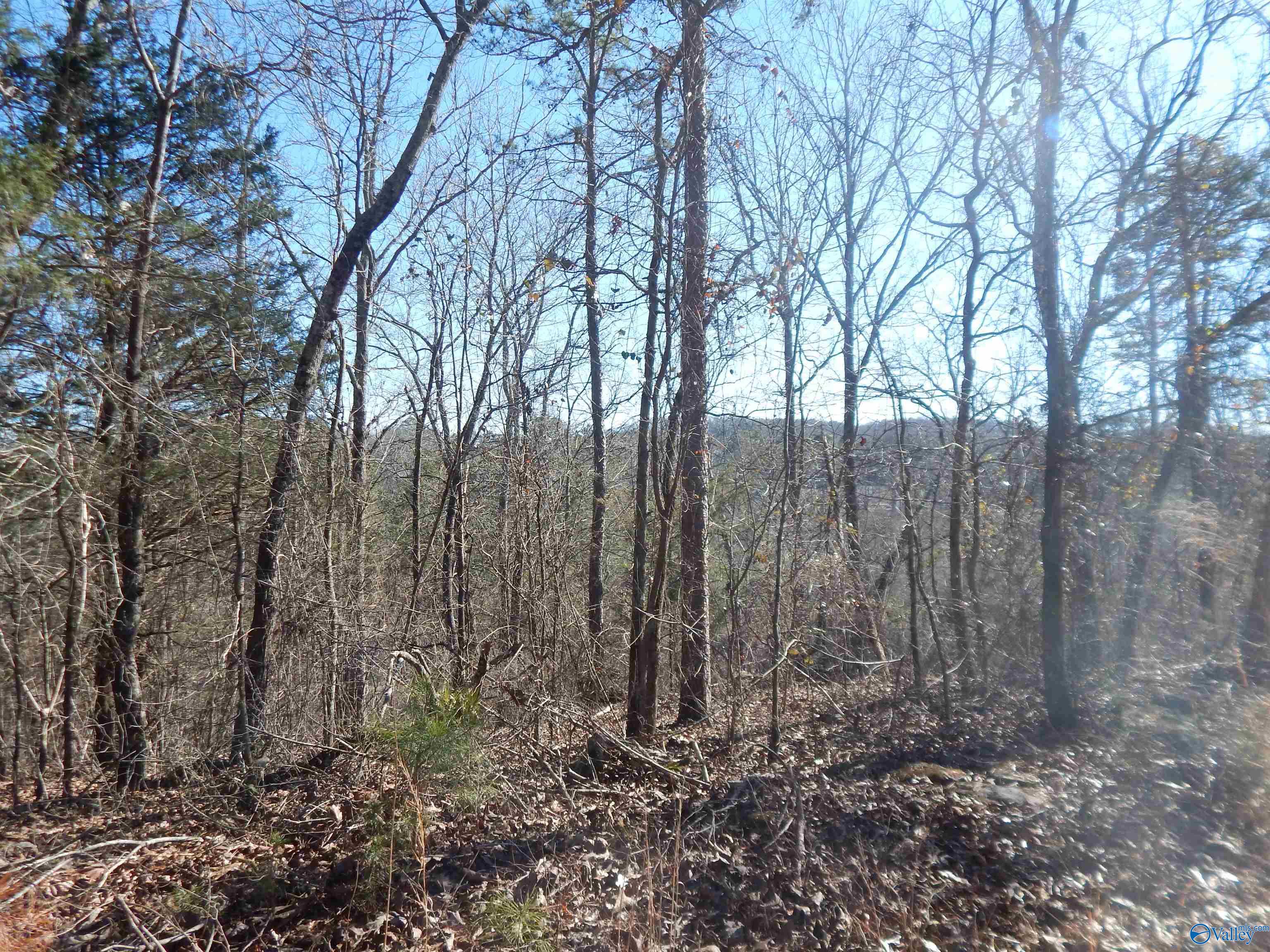 16.3 Acres Off U S Highway 278, Altoona, Alabama image 1