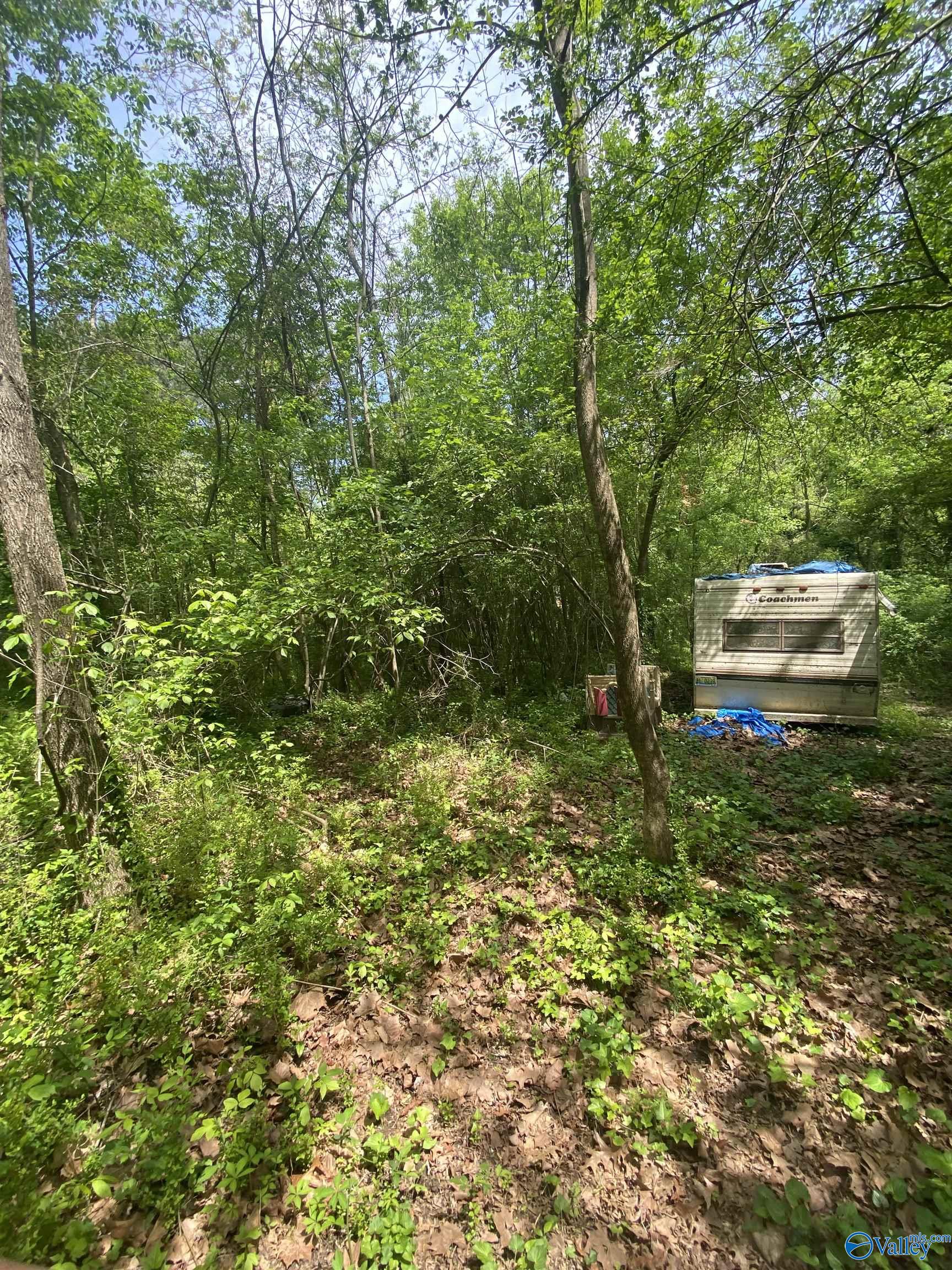 150x49 Clayton Avenue, Gadsden, Alabama image 3