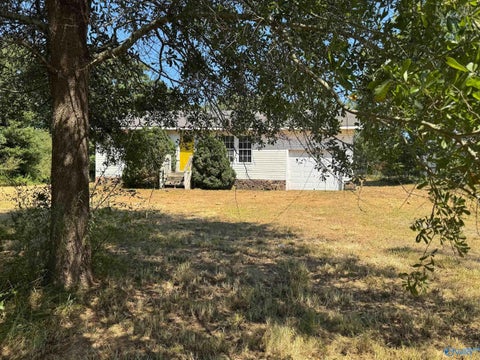 Homes For Sale - 81950 Highway 231<br/> Blount County, Arab, AL 35016