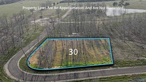 Lot 30 Garrett Street Rainsville AL 35986