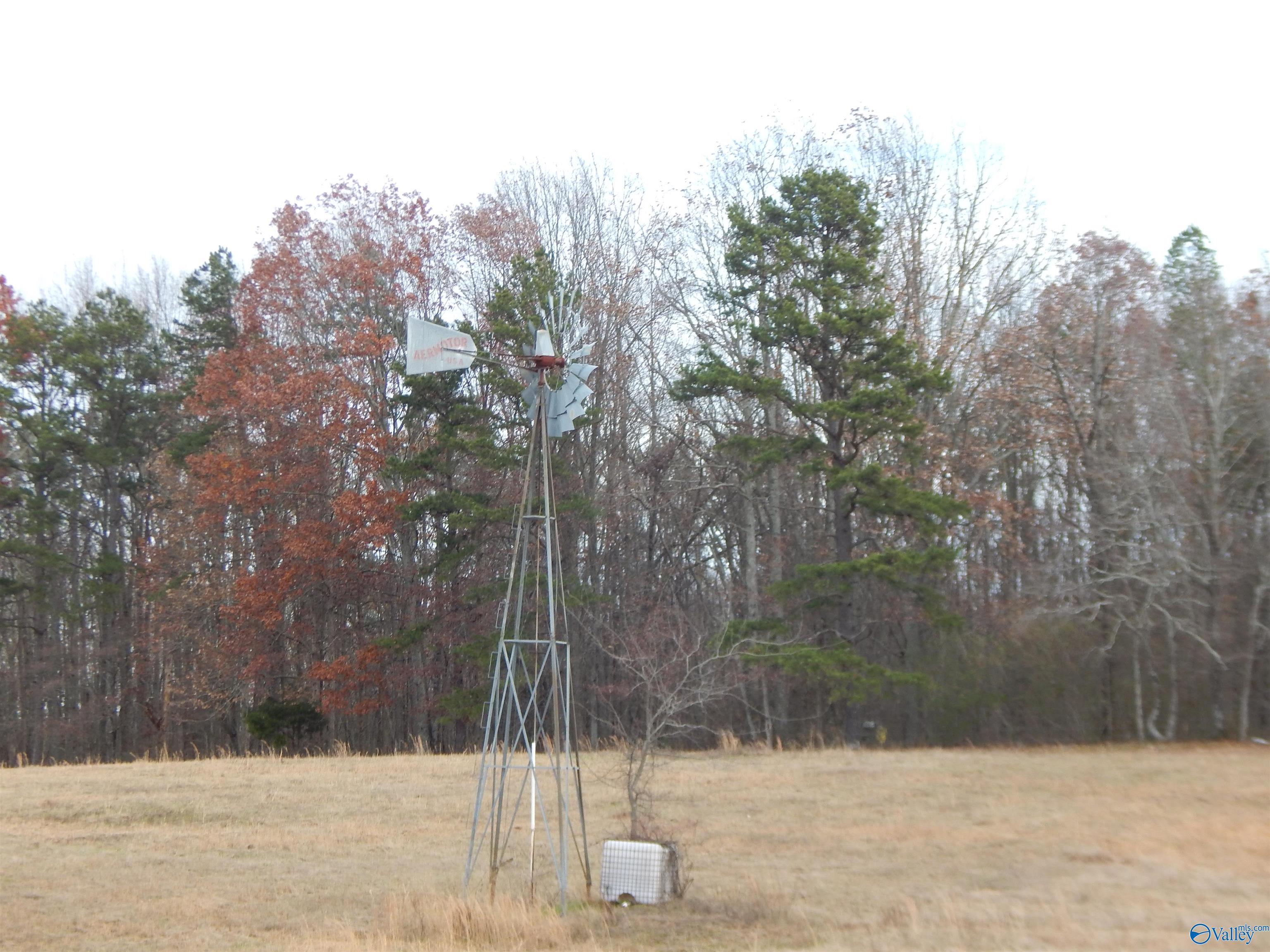 8634a County Road 141, Henagar, Alabama image 9