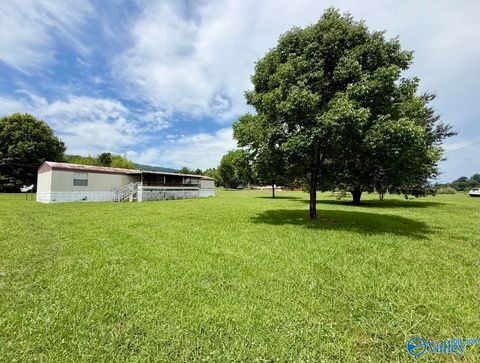 Mobile Home For Sale - 2965 Weiss Lake Boulevard<br/> Leesburg, AL 35983