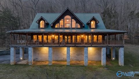 Photo of 2818 County Road 27, Estillfork, AL 35745 (MLS # 21911564)