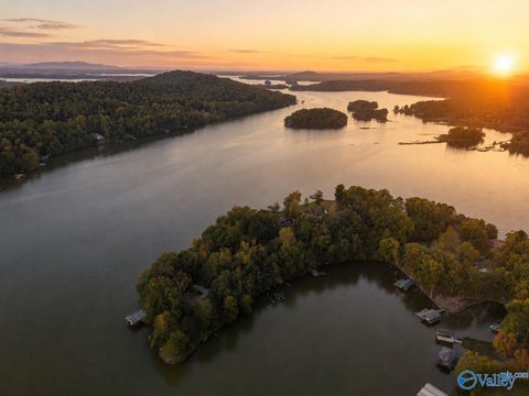 Vacant Land For Sale - LOT 10 County Road 479<br/> Cedar Bluff, AL 35959