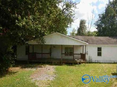 Photo of 224 Dunn Drive, Albertville, AL 35950 (MLS # 21919300)