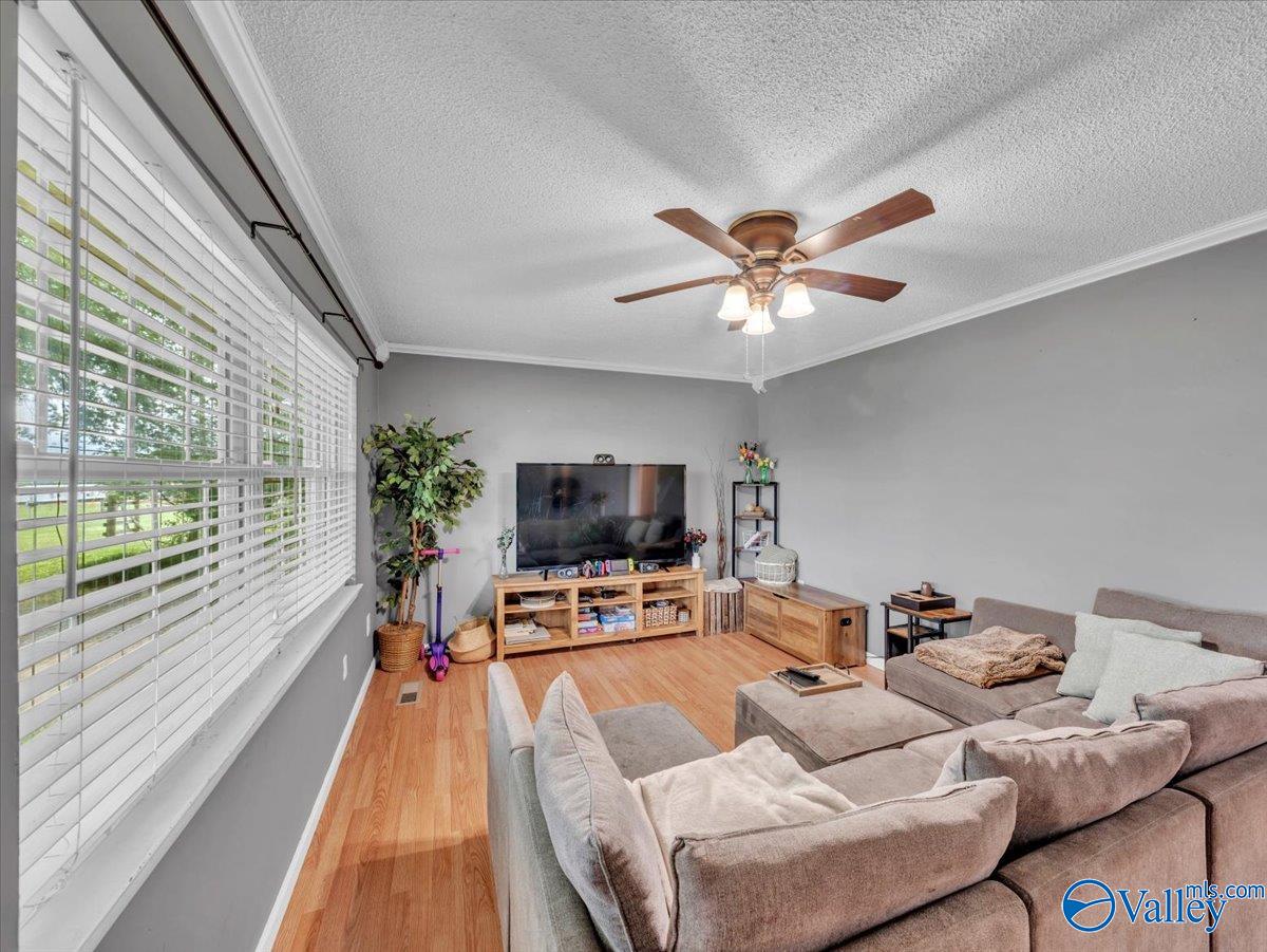 3561 County Road 151