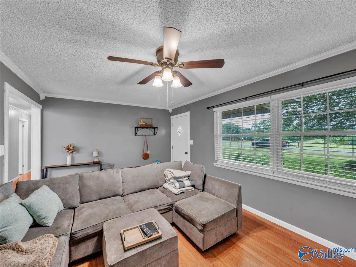 3561 County Road 151