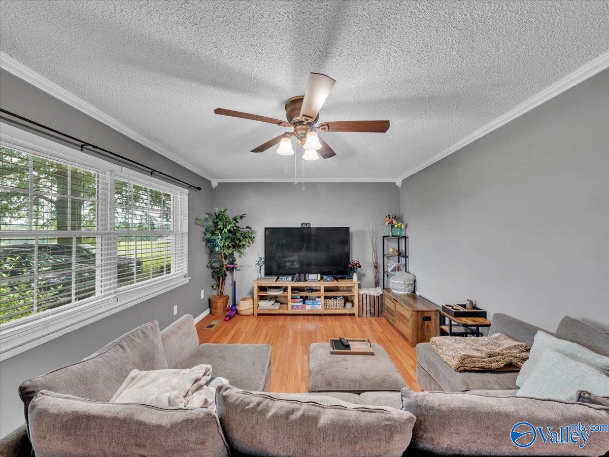 3561 County Road 151