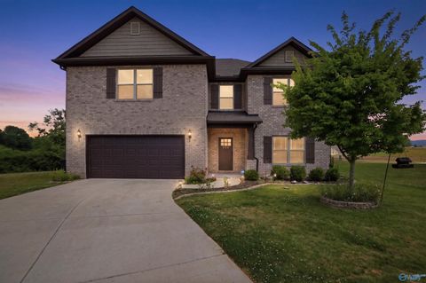 Photo of 203 Rye Circle, Huntsville, AL 35811 (MLS # 21919133)