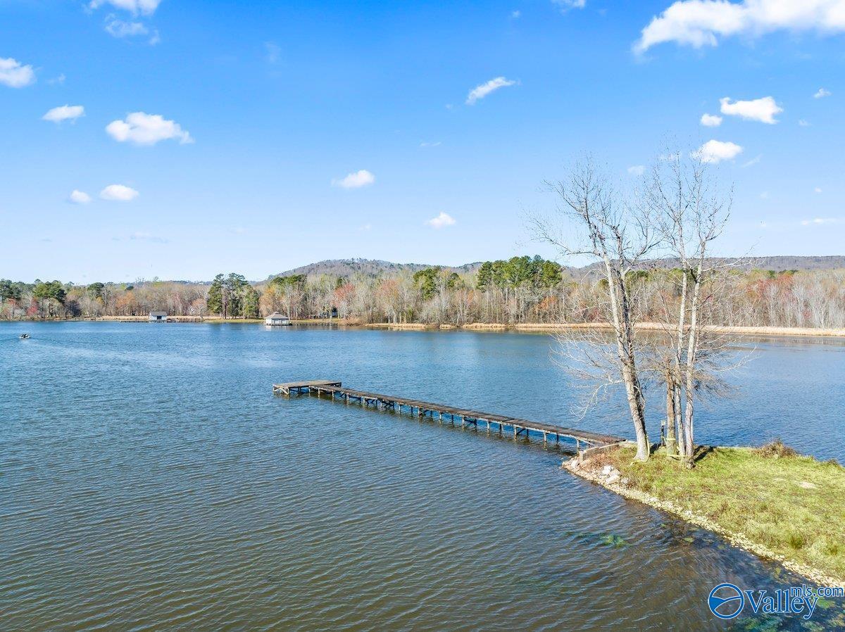 1370 Holiday Shores Road, Scottsboro, Alabama image 31