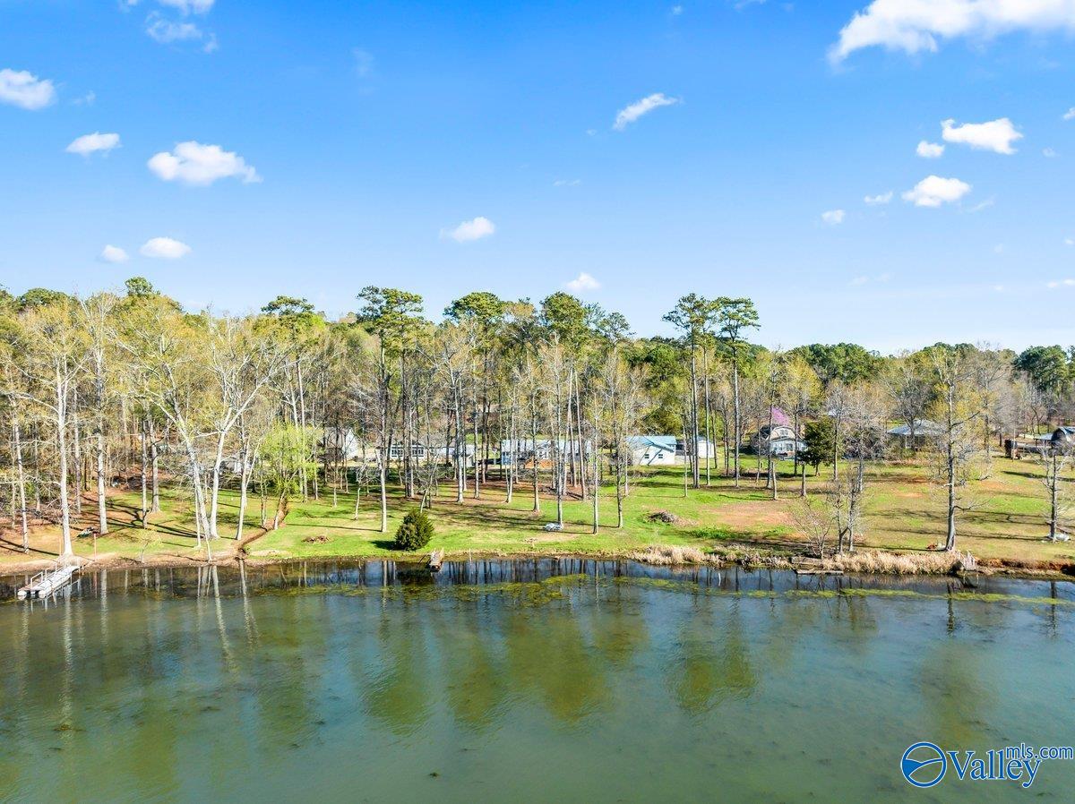 1370 Holiday Shores Road, Scottsboro, Alabama image 8