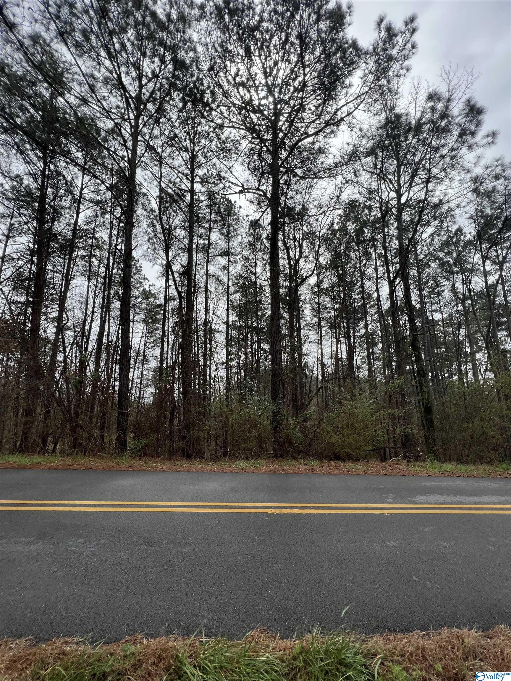 4 Acres +/- Scenic Drive, Gadsden, Alabama image 1