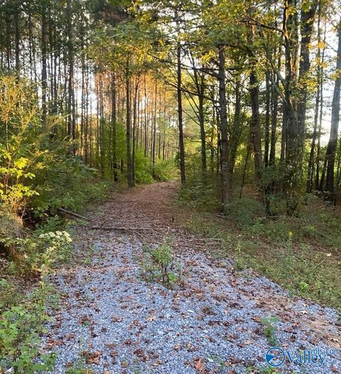 Vacant Land For Sale - 3.7 ACRES County Highway 10<br/> Blountsville, AL 35031