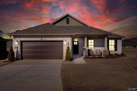 Homes For Sale - 15709 Bees Street<br/> Harvest, AL 35749