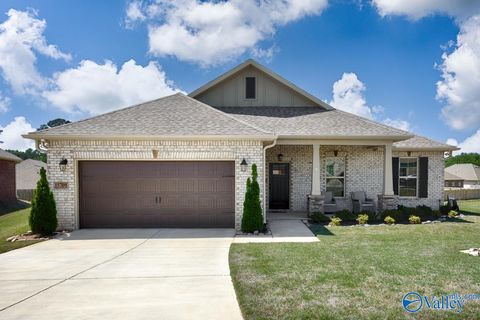 Homes For Sale - 15709 Bees Street<br/> Harvest, AL 35749