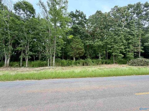 Vacant Land For Sale - 3.44 County Road 91<br/> Gaylesville, AL 35973