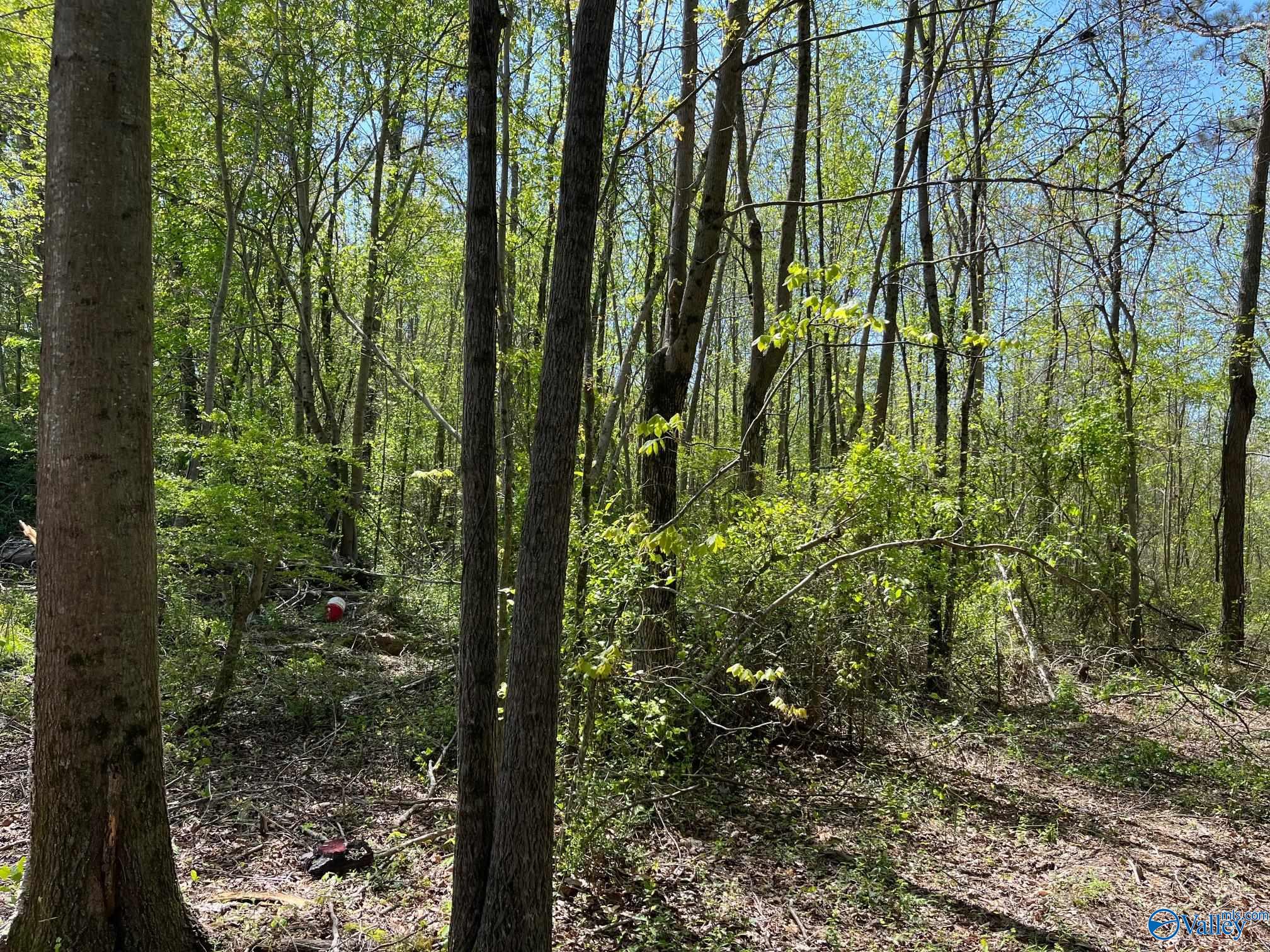 25 ACRES Wolf Creek Road, Albertville, Alabama image 5
