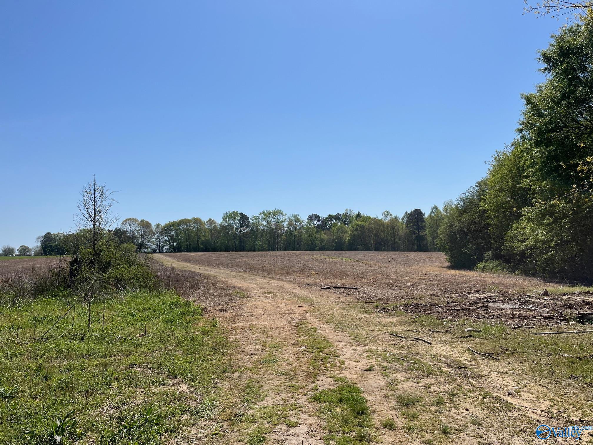 25 ACRES Wolf Creek Road, Albertville, Alabama image 6
