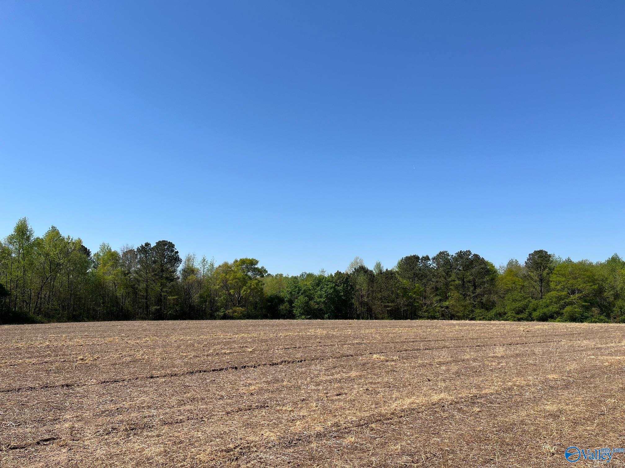 25 ACRES Wolf Creek Road, Albertville, Alabama image 3