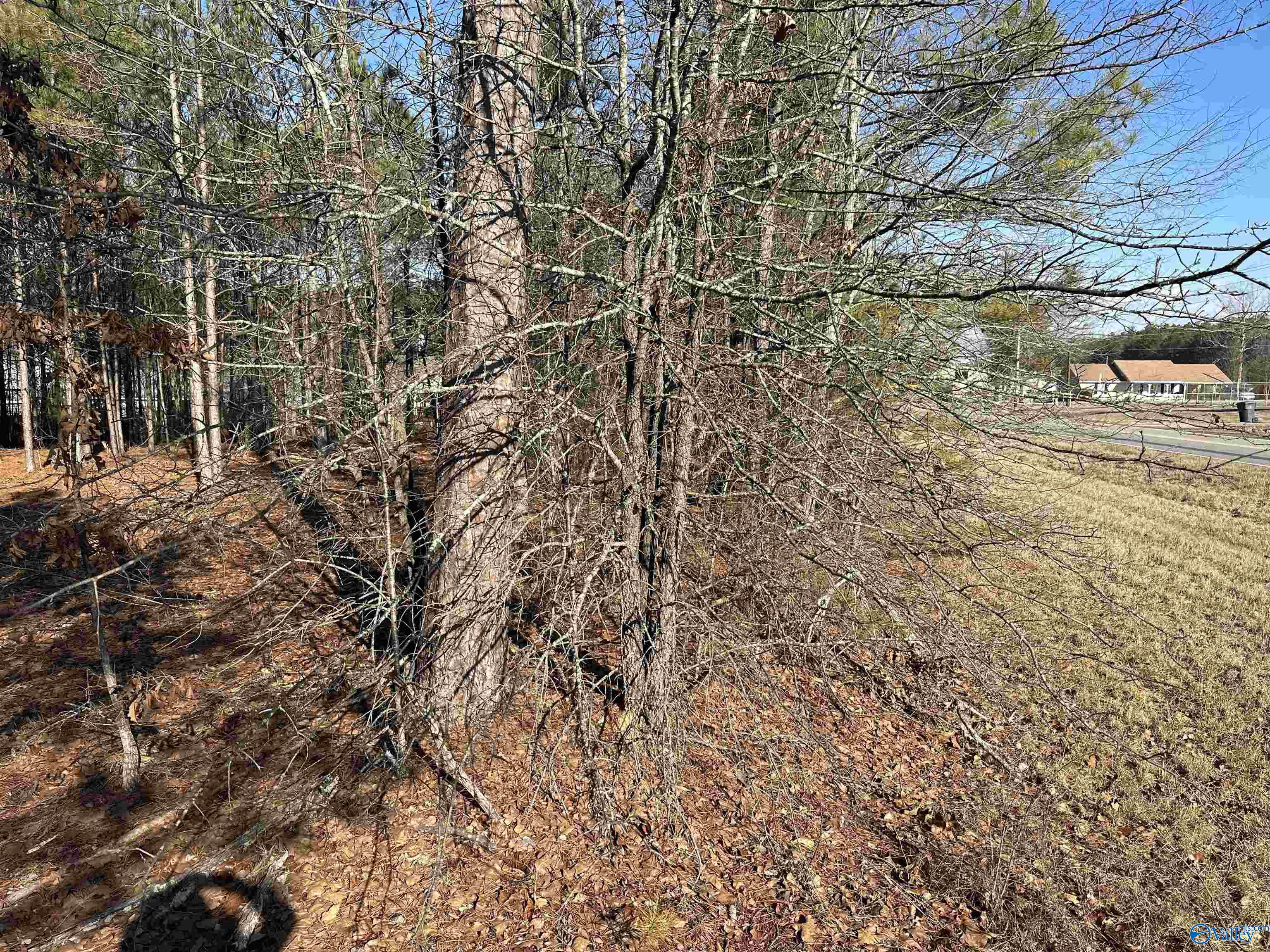 5.61 Acres Highway 9, Centre, Alabama image 7