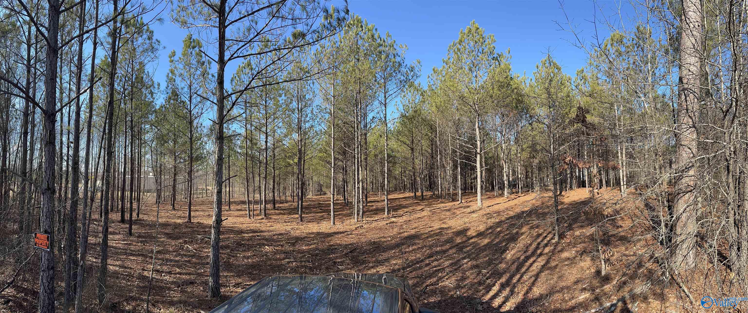 5.61 Acres Highway 9, Centre, Alabama image 3